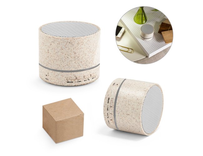 CAIXA DE SOM PORTÁTIL COM MICROFONE