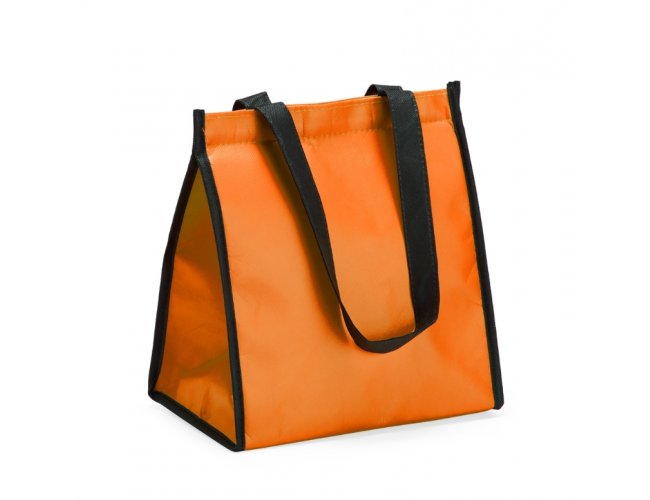 BOLSA TÉRMICA (6L)
