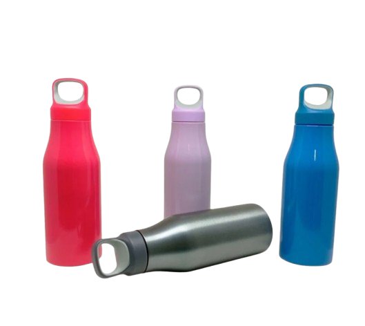 GARRAFA TÉRMICA INOX (650ml)
