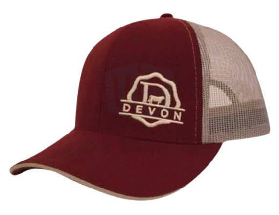 BONÉ 6 GOMOS COM TELA